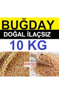 Buğday 10 Kg Yemlik Buğday Tavuk Yemi Güvercin Yemi Kanatlı Yemi Buğday 10 Kg Yemlik Buğday Tavuk Yemi Güvercin Yemi Kanatlı Yemi