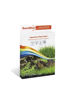 Eurostar Bitki Tohumu  Eleocharis Parvula
