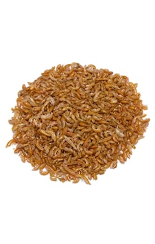 Orijin Gammarus Yem 750 G