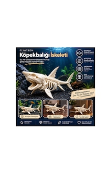 3d Köpekbalığı İskeleti Fosil Görünümlü Akvaryum Dekoru Ve Masaüstü Süs Figürü Kemik Rengi 3d Köpekbalığı İskeleti Fosil Görünümlü Akvaryum Dekoru Ve Masaüstü Süs Figürü Kemik Rengi