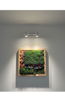 Doğal Yosun Tablosu 50x50 Doğal Yosun Tablosu 50x50