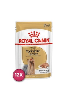 Royal Canin Yorkshire Terrier Adult Pouch Yetişkin Köpekler İçin Konserve 85 Gr X 12 Adet Royal Canin Yorkshire Terrier Adult Pouch Yetişkin Köpekler İçin Konserve 85 Gr X 12 Adet