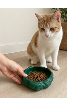 Eko Form Model Beton Kedi Köpek Mama Ve Su Kabı 16cm 16cm 5.5cm - Yeşil Eko Form Model Beton Kedi Köpek Mama Ve Su Kabı 16cm 16cm 5.5cm - Yeşil