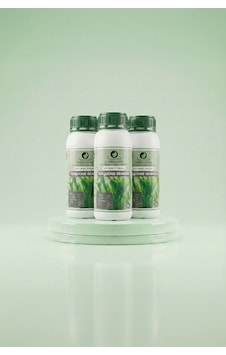 Turquoise Seaweed 1l Sıvı Deniz Yosunu 3'lü Set 1000 Turquoise Seaweed 1l Sıvı Deniz Yosunu 3'lü Set 1000