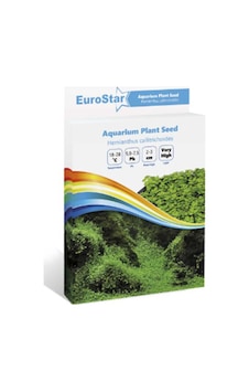 Eurostar Bitki Toh Hemianthus Callitrichoides One Size Eurostar Bitki Toh Hemianthus Callitrichoides One Size