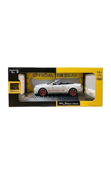 1/24 Model Araba