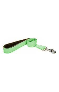 Markapet Köpek Gezdirme Kayışı 1,5 cm x 115 cm Yeşil Markapet Köpek Gezdirme Kayışı 1,5 cm x 115 cm Yeşil