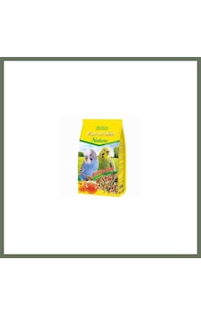 Bezos Special Meyveli Muhabbet Kuşu Yemi 500 Gr Bezos1 Bezos Special Meyveli Muhabbet Kuşu Yemi 500 Gr Bezos1