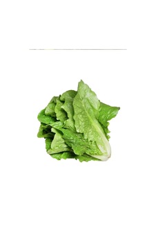 Diğer Çiçek & Bitki Yedikule Marul Tohumu 10 Gr