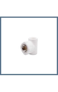 Buradabulabilirsin Pprc 20mm1/2 İç Dişli T 1 Adet Bbz