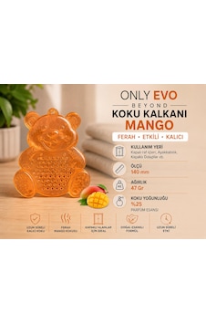Araç Koku Kalkanı Sevimli Ayıcık Mango Kokulu
