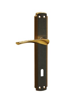 Eriş-01 Bro Oda Sarı Albrifin Kapı Kolu Takımı Eriş-01 Bro Oda Sarı Albrifin Kapı Kolu Takımı