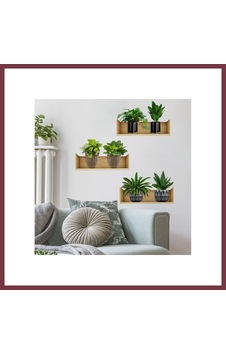 Storeşahin Raflı Bitki Tasarımlı Yapışkanlı Sticker 20 30 Cm 3lü Set Mc-663 Shn0720 Çok Renkli Storeşahin Raflı Bitki Tasarımlı Yapışkanlı Sticker 20 30 Cm 3lü Set Mc-663 Shn0720 Çok Renkli