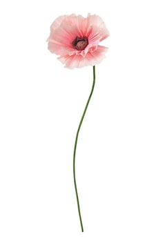 Yapay Çiçek, Pembe, 40 Cm, Gelincik Yapay Çiçek, Pembe, 40 Cm, Gelincik