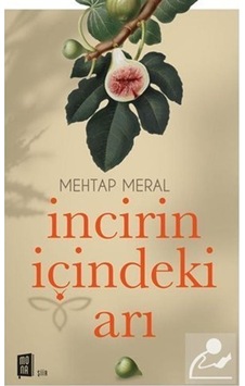 İncirin İçindeki Arı / Mehtap Meral