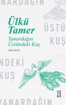 Yanardağın Üstündeki Kuş Yanardağın Üstündeki Kuş