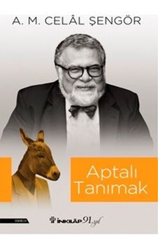 Aptalı Tanımak