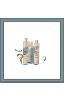 360 Hair Professional Daily Shp-daily Cond 300 ML + Daily Detangler 250 ML Set Normal