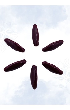 Mim Eşarp Eşarp Ve Şal Klips Toka İğnesi Safety Pin 6 Adet Siyah Mim Eşarp Eşarp Ve Şal Klips Toka İğnesi Safety Pin 6 Adet Siyah