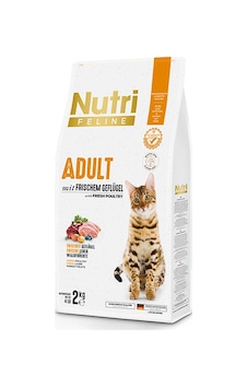 Nutri Feline Kümes Hayvanlı Yetişkin Kedi Maması 2 KG Nutri Feline Kümes Hayvanlı Yetişkin Kedi Maması 2 KG