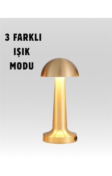 %100 - 20 - Kademeli Ayarlanabilir Işık Usb Şarjlı - Csmo-tex - Masa Lambası Soğuk Beyaz %100 - 20 - Kademeli Ayarlanabilir Işık Usb Şarjlı - Csmo-tex - Masa Lambası Soğuk Beyaz