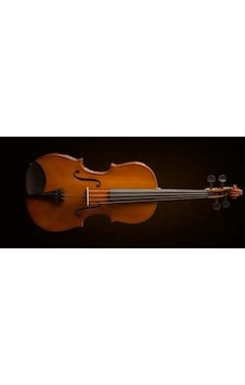 Valencia Va16041 Viyola 16 İnç Öğrenci Seti 40.6 Cm - Hafif Kutu - Başlangıç İçin İdeal