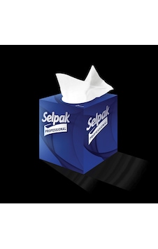 Selpak Professional Premium Butik Kutu Mendil 21 X 18 Cm 48 Yaprak X 20 Adet 7906666