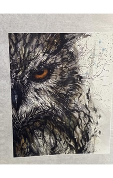 22x18 Cm Ütü Ile Yapışan Baykuş Gözü Baskı Aplike Tişört Baskı Arma Yama Dikiş Hobi