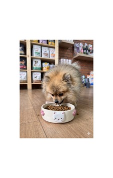 Pembe Çiçek Ve Hello Kitty Detaylı Mama Kabı - Kedi Ve Köpek Pembe Çiçek Ve Hello Kitty Detaylı Mama Kabı - Kedi Ve Köpek