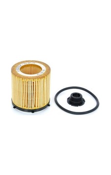 Bosch F026407178 Yağ Filtresi Bmw N20 N55 F30 F10 F11 E84 E89 11427634291 Bosch F026407178 Yağ Filtresi Bmw N20 N55 F30 F10 F11 E84 E89 11427634291