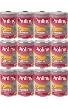 Pro Line Somonlu Yetişkin Kedi Konservesi 12 x 400 G Pro Line Somonlu Yetişkin Kedi Konservesi 12 x 400 G