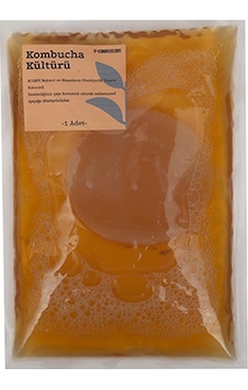 Kombuscoby Kombucha Başlangıç Kültürü 200 ML Kombuscoby Kombucha Başlangıç Kültürü 200 ML