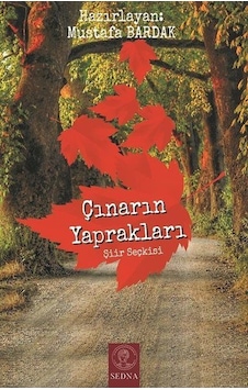 Çınarın Yaprakları N11.12087