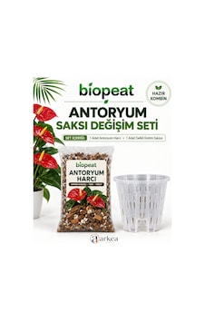 Antoryum Saksı Değişim Seti 3 L Harç Ve 0,75 L Delikli Saksı 1 Antoryum Saksı Değişim Seti 3 L Harç Ve 0,75 L Delikli Saksı 1
