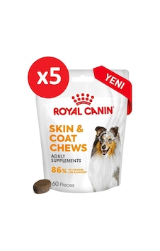 Royal Canin Skin&coat Chews Deri Ve Tüy Sağlığını Destekleyen Tamamlayıcı Köpek Ödül Maması 240g 5 Paket Royal Canin Skin&coat Chews Deri Ve Tüy Sağlığını Destekleyen Tamamlayıcı Köpek Ödül Maması 240g 5 Paket
