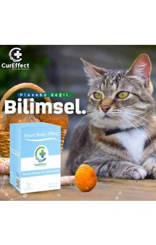 Smart Body Effect Kedi Ve Köpekler İçin Form Yağ Yakıcı Ve Metabolizma Düzenleyici 60 Gr Smart Body Effect Kedi Ve Köpekler İçin Form Yağ Yakıcı Ve Metabolizma Düzenleyici 60 Gr