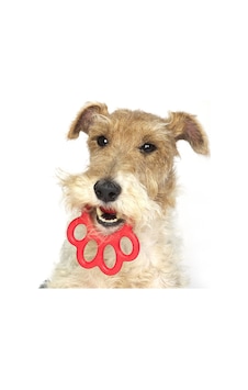 Orma Köpek Oyuncağı Mavi Orma Köpek Oyuncağı Mavi