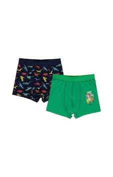 Civil Boys Trex 2-10 Yaş Erkek Çocuk 2'li Boxer - Standart Civil Boys Trex 2-10 Yaş Erkek Çocuk 2'li Boxer - Standart