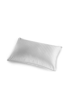 Taç Yastık Ascot 50X70 (157719600) Taç Yastık Ascot 50X70 (157719600)