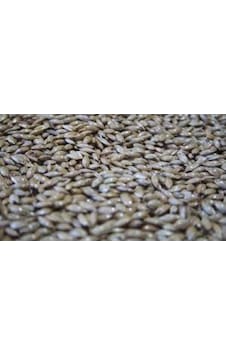 Aktar Store İnce Sivri Kuş Yemi 1 KG Aktar Store İnce Sivri Kuş Yemi 1 KG