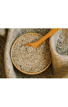 Kanarya Yemi İthal Kanada Aspur 500 G Kanarya Yemi İthal Kanada Aspur 500 G