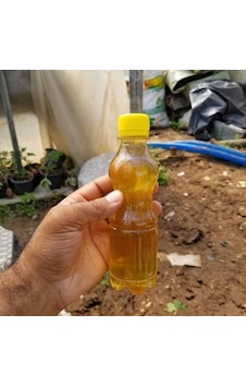 Kaktüs Ve Sukulentler İçin Özel Gübre 1 Adet Kaktüs Ve Sukulentler İçin Özel Gübre 1 Adet