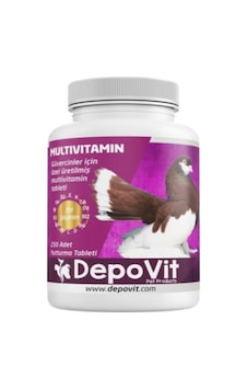 Depovit Enerji Vitamin Desteği Multivitamin Tablet 250'li Depovit Enerji Vitamin Desteği Multivitamin Tablet 250'li