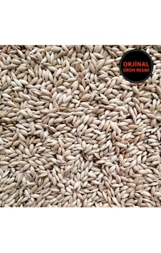 Kanarya Sade Yem Aspur - 5 KG Kanarya Sade Yem Aspur - 5 KG