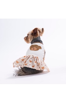 Teddy Belle Ayıcık Desenli Kedi Köpek Elbisesi - Kedi Köpek Kıyafeti