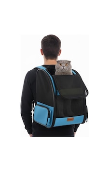 Ayrex Airmove Premium Kedi Köpek Taşıma Çantası, Silinebilir, Yırtılmaz Fileli, Bükülmez Gövde, Sırt Çantas Ayrex Airmove Premium Kedi Köpek Taşıma Çantası, Silinebilir, Yırtılmaz Fileli, Bükülmez Gövde, Sırt Çantas