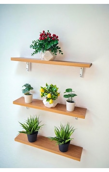 Metal Ayaklı Çok Amaçlı Duvar Rafı 3 Lü Set Duvar Rafı Çiçeklik Sukulent Rafı Bambu Bambu Metal Ayaklı Çok Amaçlı Duvar Rafı 3 Lü Set Duvar Rafı Çiçeklik Sukulent Rafı Bambu Bambu
