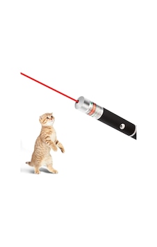 Kedi Lazer Oyuncak 3 Adet Aşamalı Kedi Tuvalet Kum Eğitim Oyuncağı Led Iran Van Ankara Tekir Kedisi