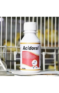 Royal Avian Acidoral Royal Avian Acidoral