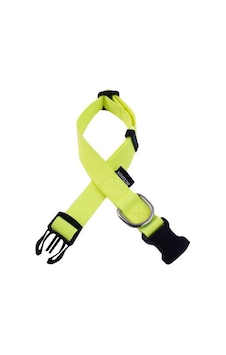 Actirex Neon Yumuşak Doku Ayarlanabilir Köpek Boyun Tasma Yellow Sarı Actirex Neon Yumuşak Doku Ayarlanabilir Köpek Boyun Tasma Yellow Sarı